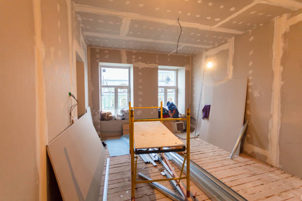 Best Drywall Removal and Disposal  in Brownsville, KY